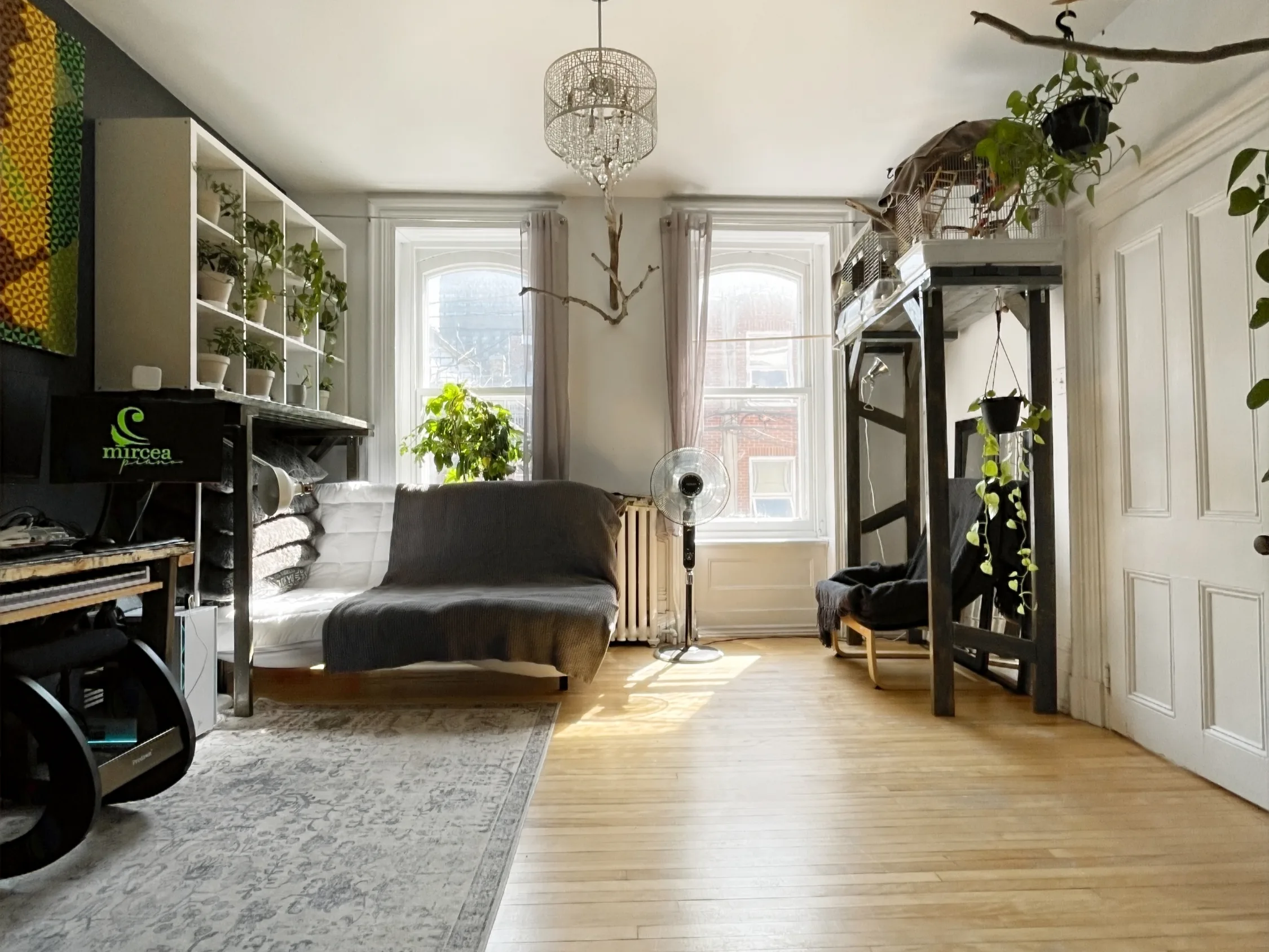 Vue d'ensemble du studio de piano : instrument, plantes, étagères et grandes fenêtres baignées de lumière naturelle.